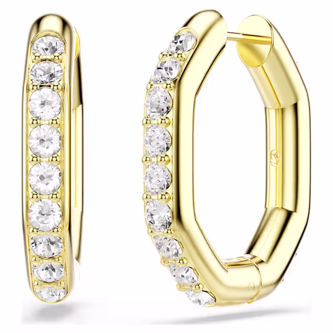 Dextera hoop earrings